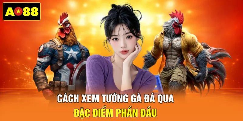 Cách xem tướng gà đá qua đặc điểm phần đầu